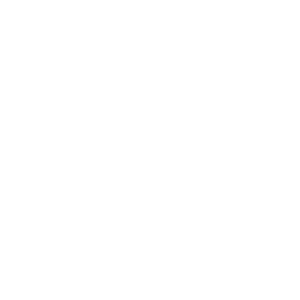Wild Spins 500x500_white
